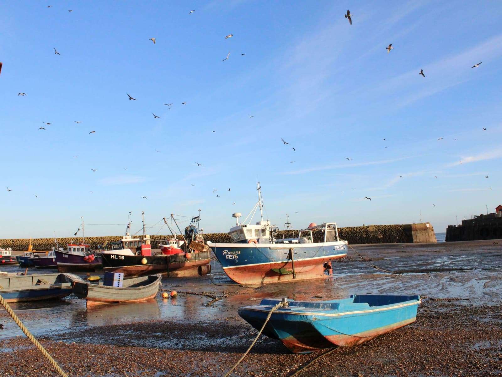 Fishing boats resting on the sand at low tide inside a harbour wall, gulls wheeling overhead in low winter sun.