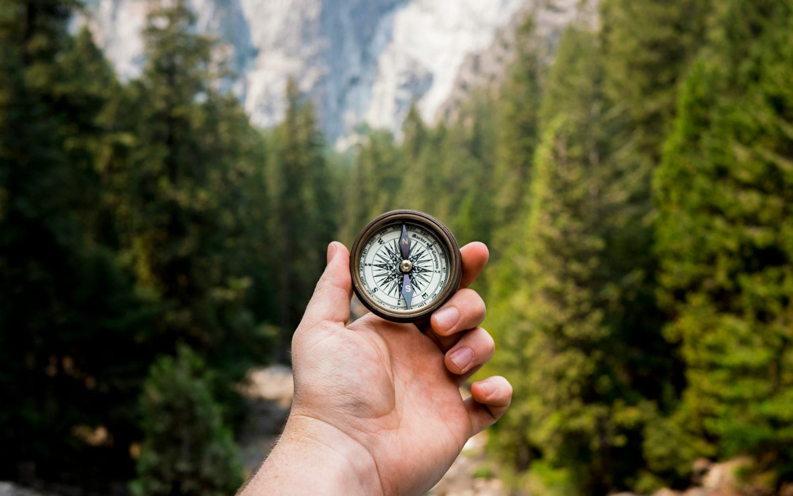 A hand holding an open brass compass at arm’s length, with tall conifers and a pale rock face out of focus behind it.
