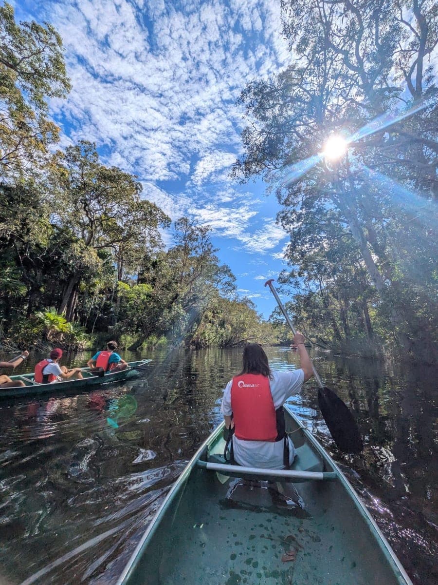 Ella seen from behind in a green canoe on a still, dark forest creek, wearing a red buoyancy aid over a white t-shirt with one paddle raised, a second canoe of paddlers ahead to the left, and sunlight breaking through tall gums on the right bank.
